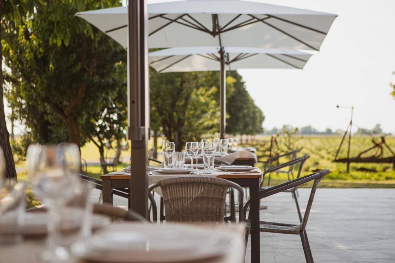 Agriturismo Il Capitolo 카르파네토 피아센티노 외부 사진